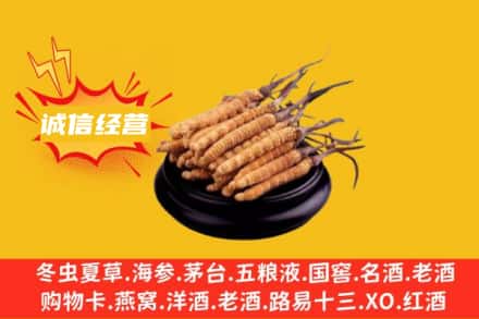 安定区回收冬虫夏草